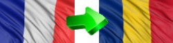 traduceri franceza romana